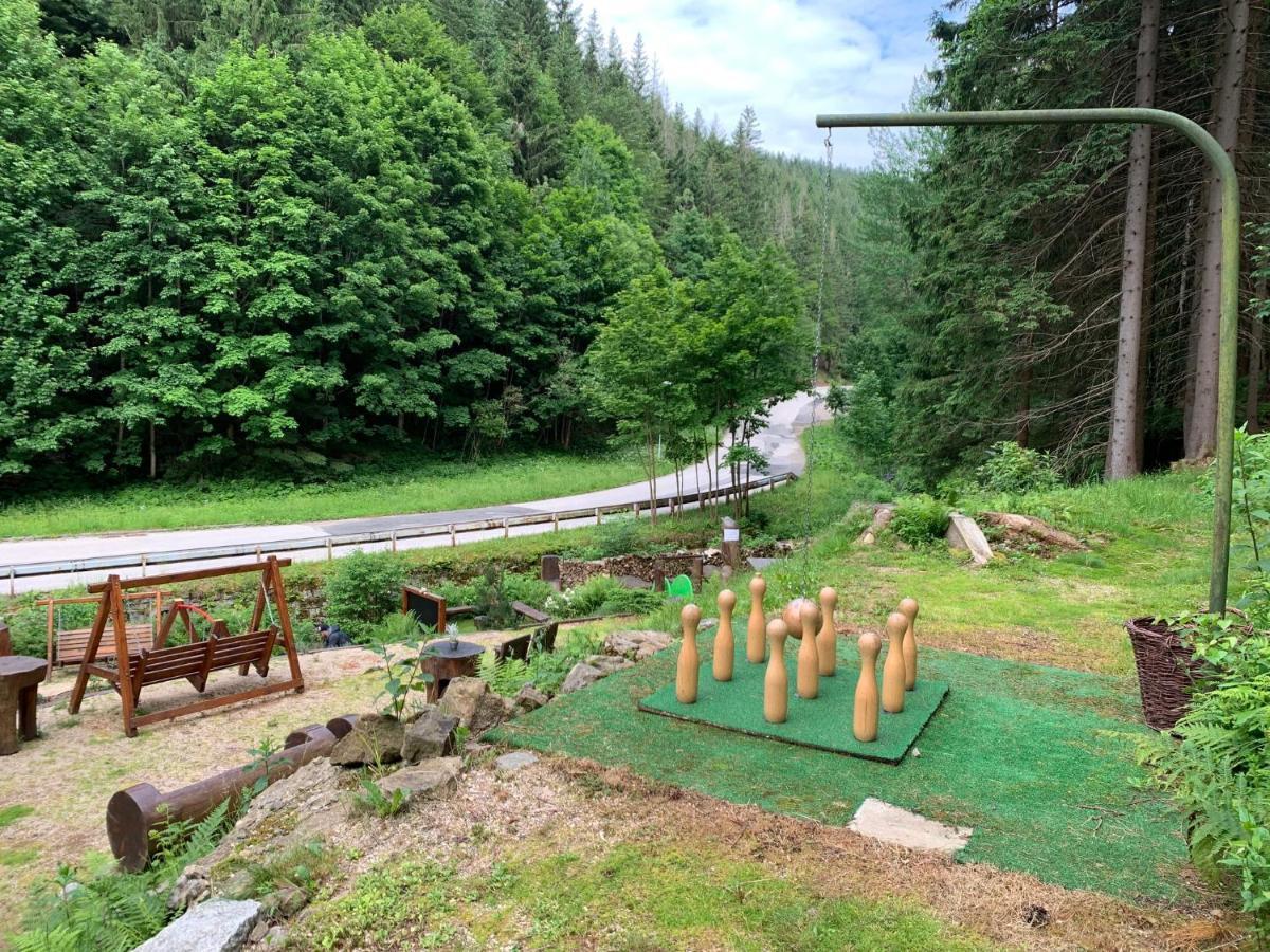Hotylek Pod Smrkem * Harrachov