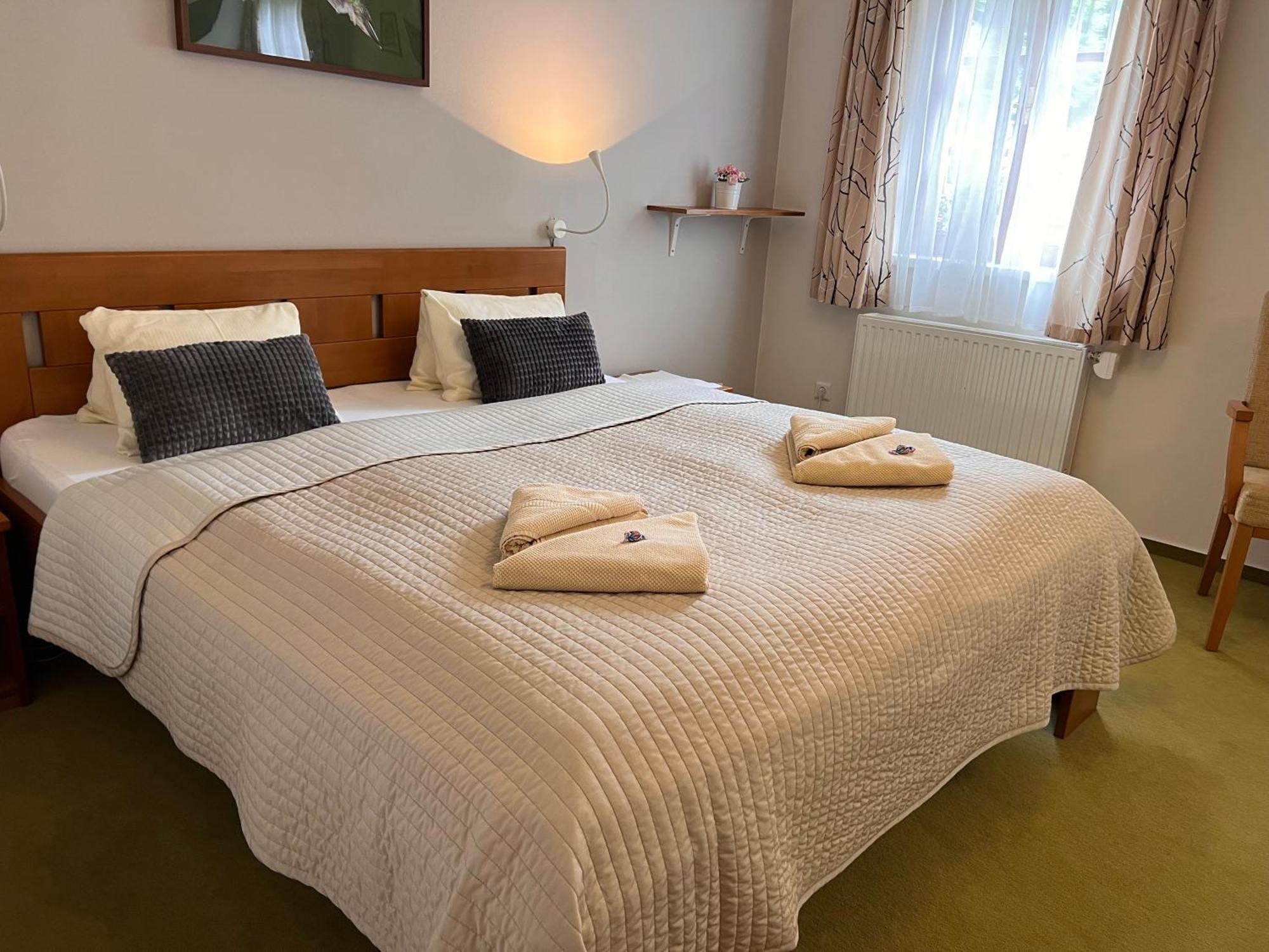 Hotylek Pod Smrkem Hotel Harrachov