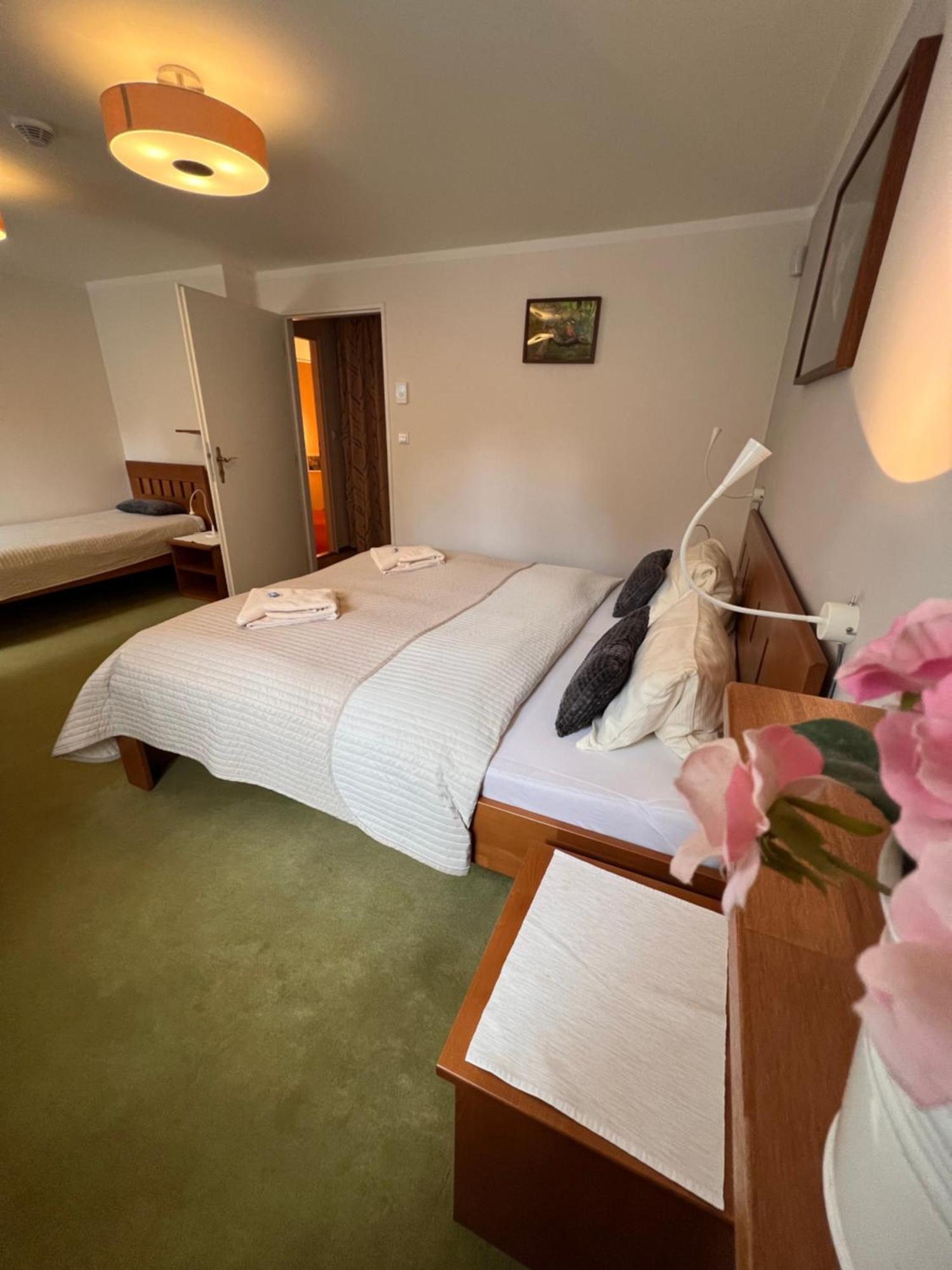 Hotylek Pod Smrkem Hotel *