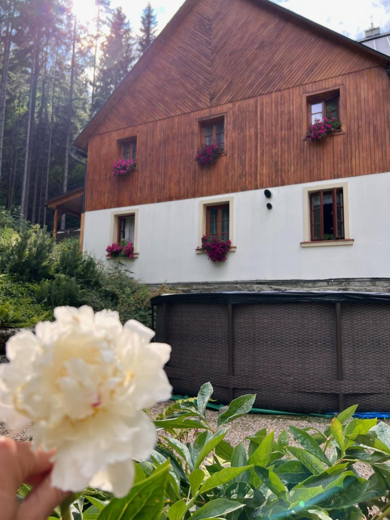 Hotylek Pod Smrkem Hotel Harrachov