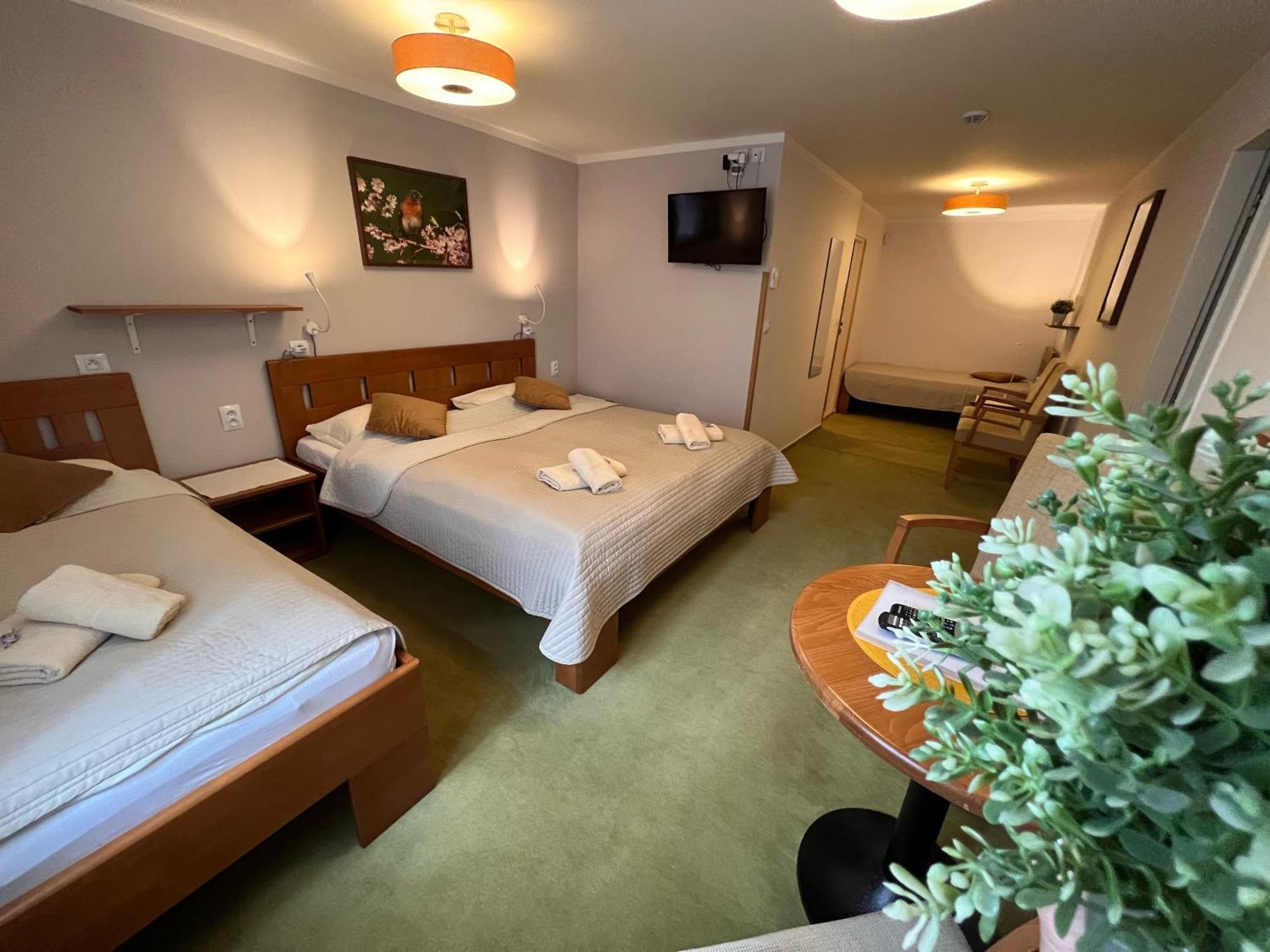 Hotylek Pod Smrkem Hotel *